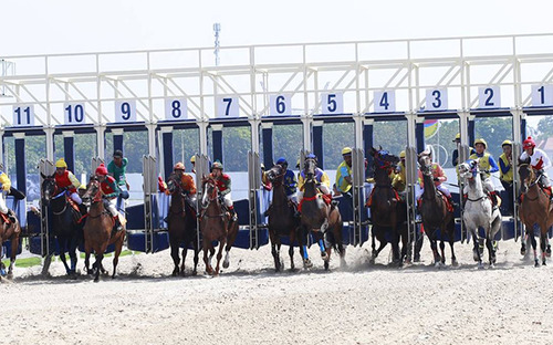 Dai Nam Race Course, Vietnam  thumbnail image